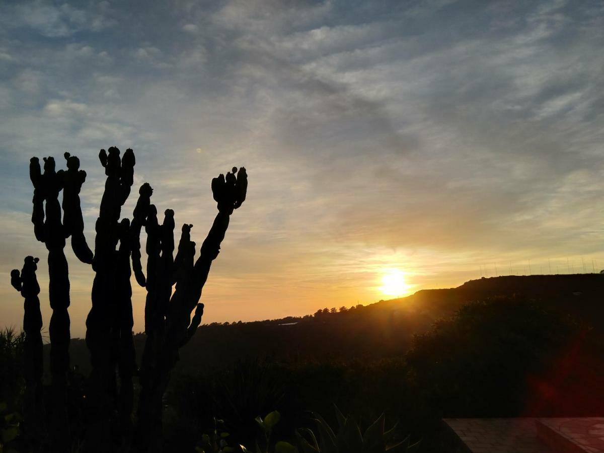 *****Finca Bella Vista アルカス エクステリア 写真