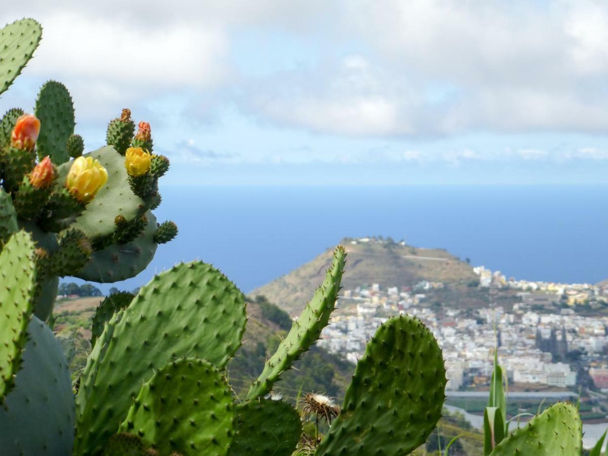 *****Finca Bella Vista アルカス エクステリア 写真